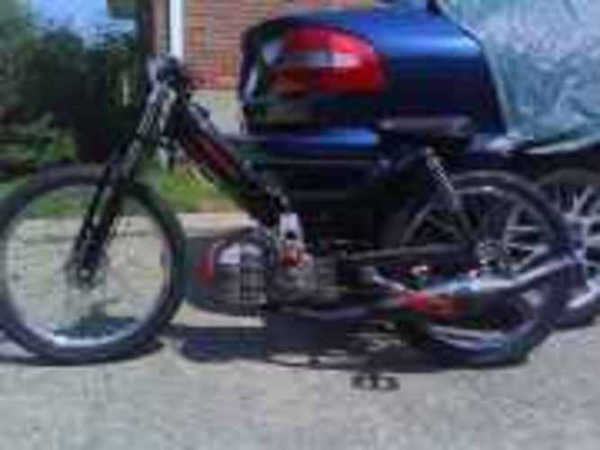 Maximilian  - 1981 Puch Newport II