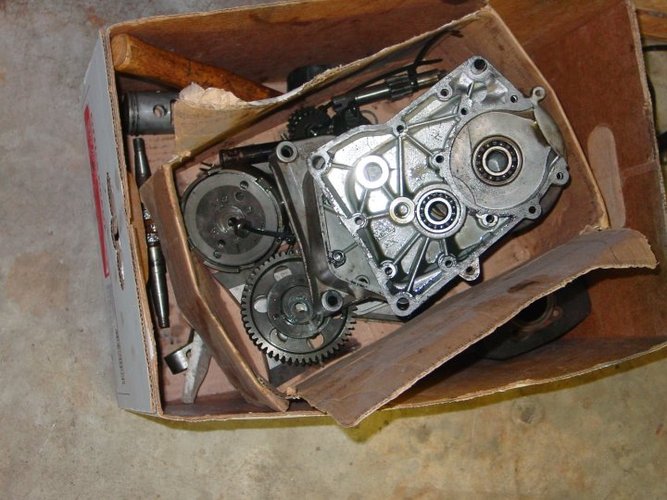 Green Monster - 1980 Motron Medalist