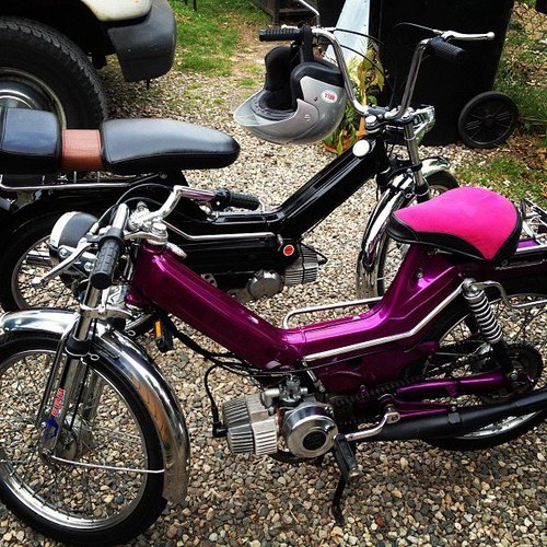 eye candy  - 1980 Puch Maxi II
