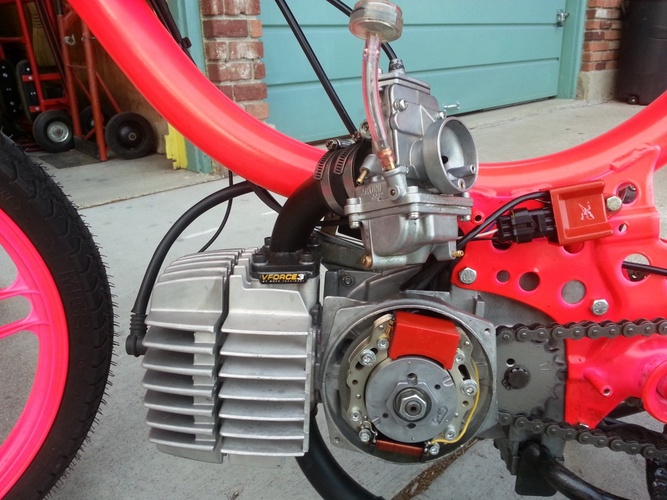 Pinky - 1978 J.C. Penney Pinto