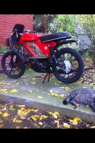 Batavus V1-50 -  Batavus HS-50