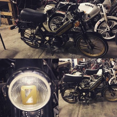 Sarah*s GLD Golden Bullet - 1982 Tomos A-3 Golden Bullet