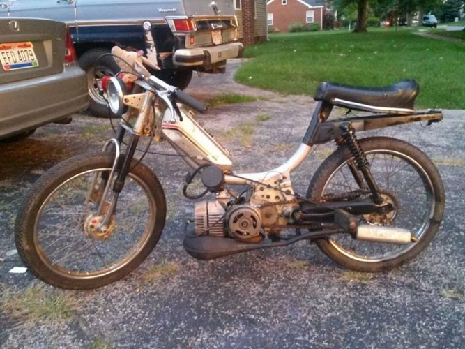 Road Kill - 1980 J.C. Penney Pinto 2