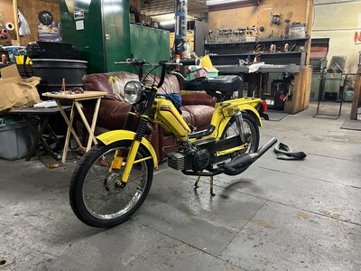 Creamy Yellow Motron -  Motron Medalist