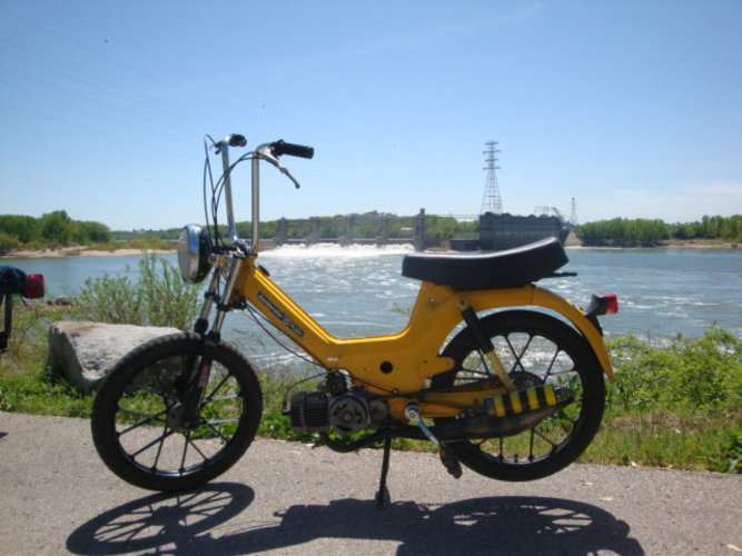 rumble bee - 1976 Puch Maxi