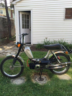 Grey Ghost - 1980 Sears Free Spirit