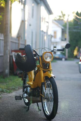 PA50II 3 - 1980 Honda PA50 II