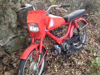 The Color of Money - 1980 Honda PA50 II