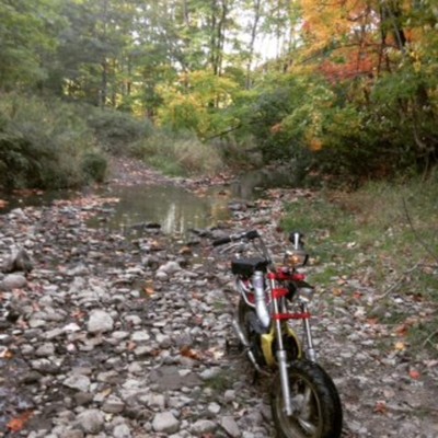 Tomarrow Herrow - 2008 Tomos Arrow