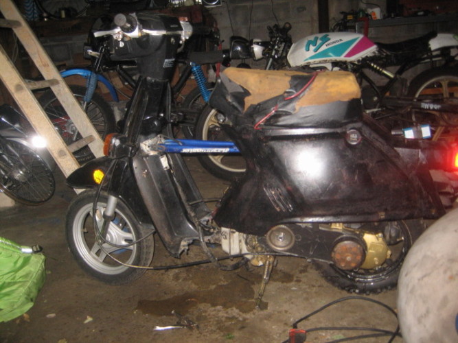 SPEE!!! - 1986 Honda Spree