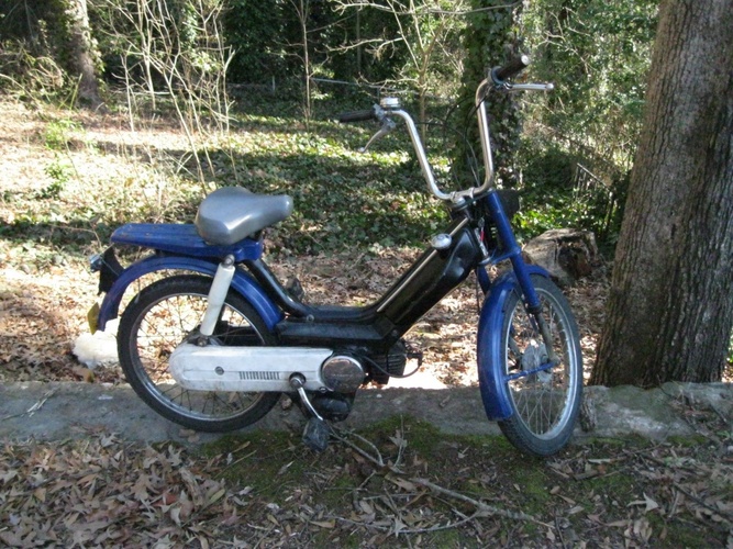 PA50m camino  - 1980 Honda Camino