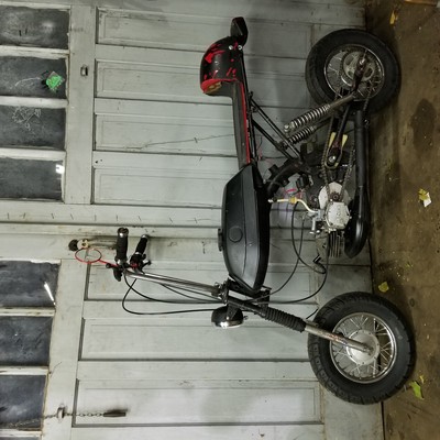 Magpile - 2019 Sachs Honey