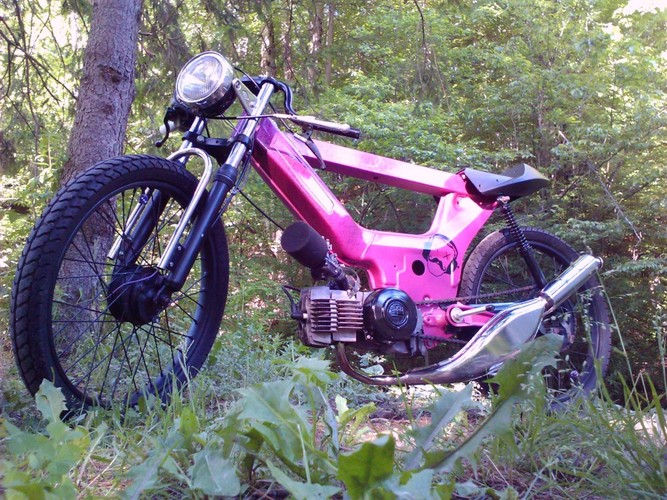 Lacey - 1977 Puch Maxi