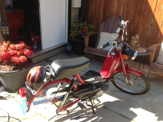 Party Patrol - 1978 Sears Free Spirit