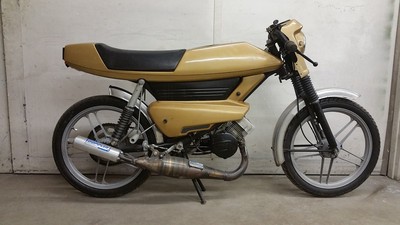The Gold banana - 1981 Batavus Grand Prix