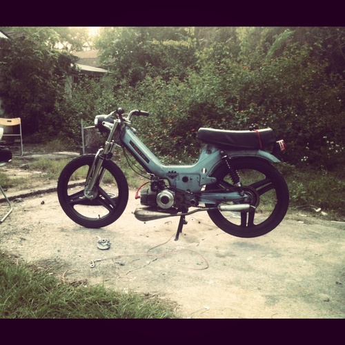 daily - 1978 Puch Newport