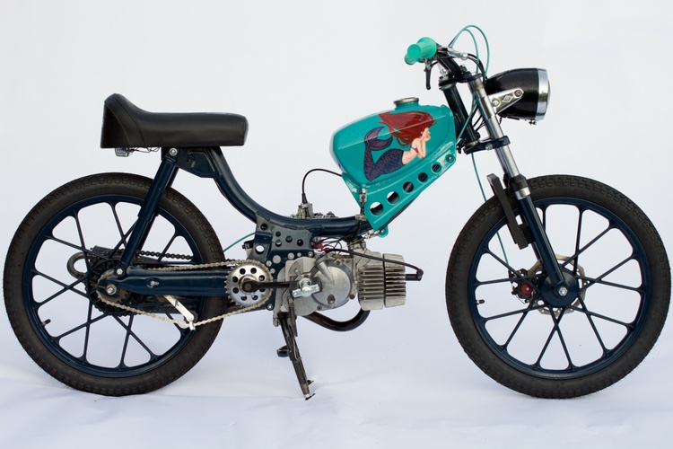 Mermaid Bike - 1976 J.C. Penney Pinto