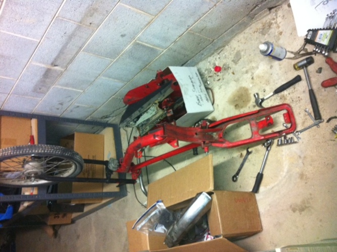 Golden Bear Bat - 1977 Batavus HS-50