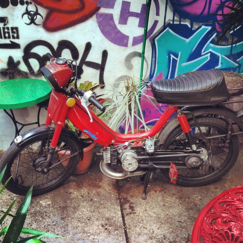 Red mamba - 1979 Honda Hobbit