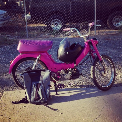 Foxi Purp - 1978 KTM Foxi