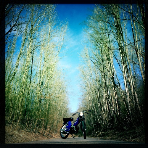 Tomos 1.0 - 2004 Tomos Quadro