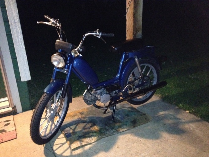 Maya the Celadon - 1980 Sachs Eagle