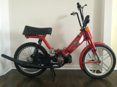 Red Hott - 1978 Honda Hobbit