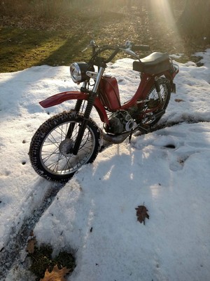 Dirty Free Spirit - 1978 Sears Free Spirit