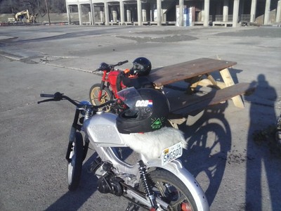 MY LITTLE BROMOS -  Tomos Targa