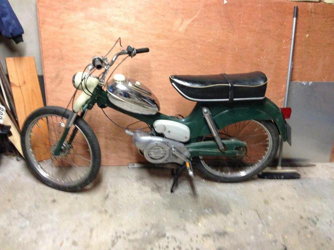 Ella - 1973 Puch MS50D