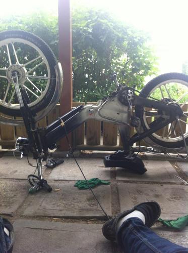 Helga - 1977 Puch Maxi N