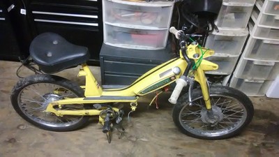 Sexy lil Thang - 1977 Motobecane 40T