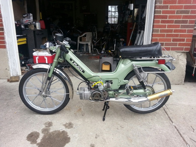 78 Maxi - 1978 Puch Maxi