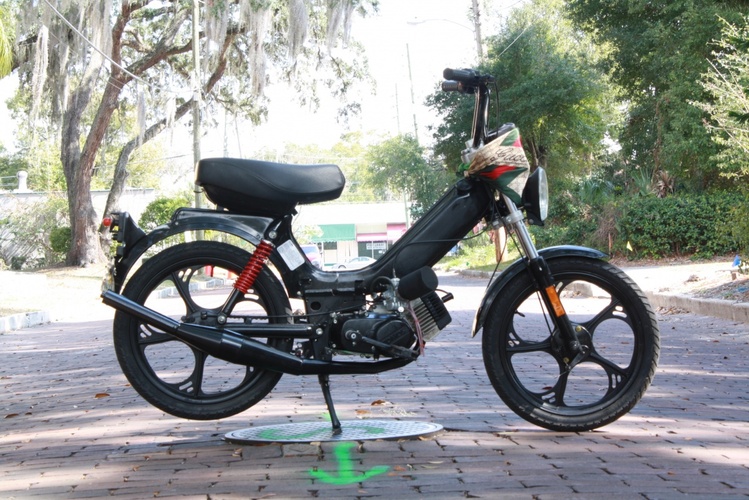 Bluntface of Altamonte - 2008 Tomos ST