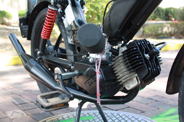 Bluntface of Altamonte - 2008 Tomos ST