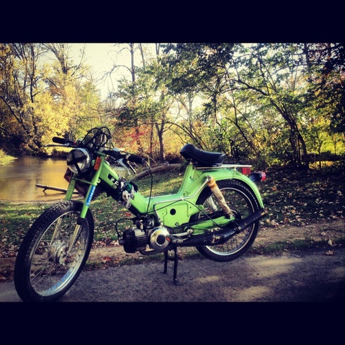 Chamille - 1978 Puch Maxi Luxe