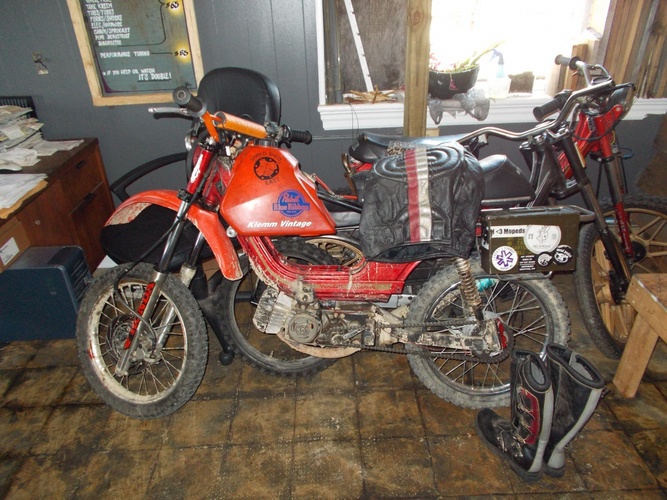 dog dick - 1986 Derbi Variant