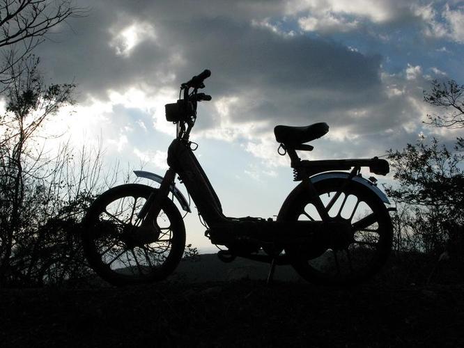 Yan　ciao - 1999 Vespa Ciao P