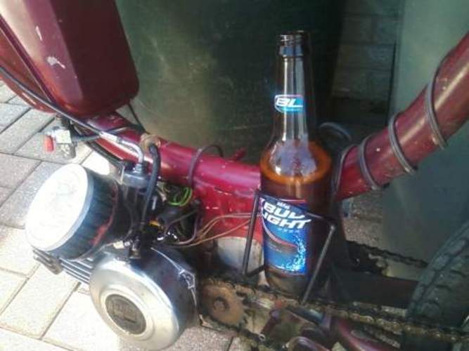 The Bad Apple - 1978 Sears Free Spirit