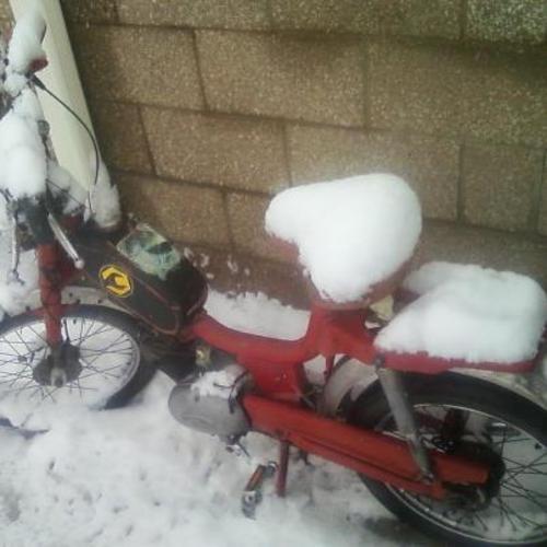 Ceasare Rizatto - 1978 Rizzato Califfo Califfo Deluxe