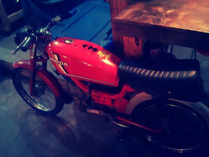 pacer thing - 1976 Pacer 25