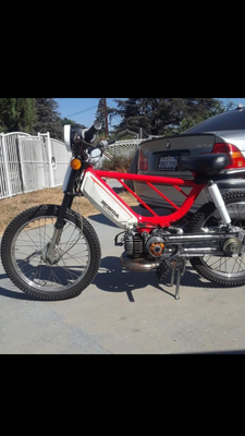 Hobbit pa50 3 - 1978 Honda PA50 II