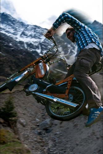 Wild Puch -   