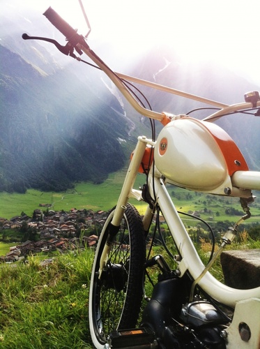 Hells Tanner -  Pony Yunior