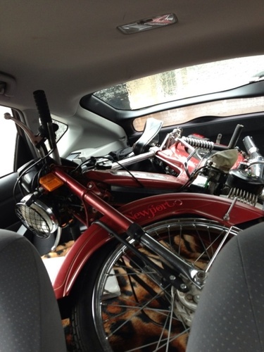 Hayden Dorothy - 1979 Puch Newport II