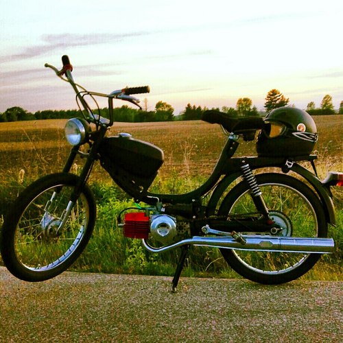 Black panther - 1978 J.C. Penney Pinto