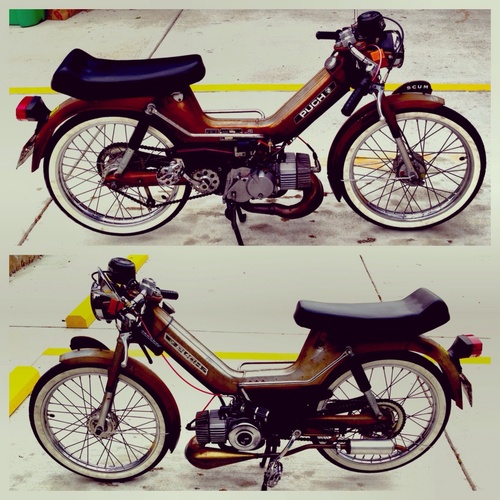 SCUM - 1978 Puch Maxi Luxe