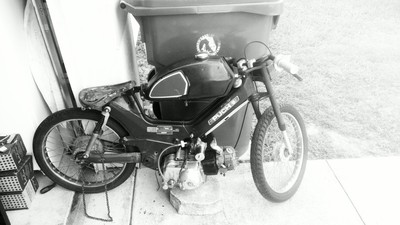 Unnamed 77 Puch Maxi - 1977 Puch Maxi