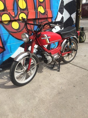 Roofle or Roofie Bike - 1980 Pacer 25