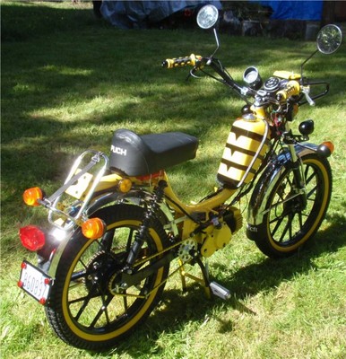 Wasp - 1979 Sears Free Spirit